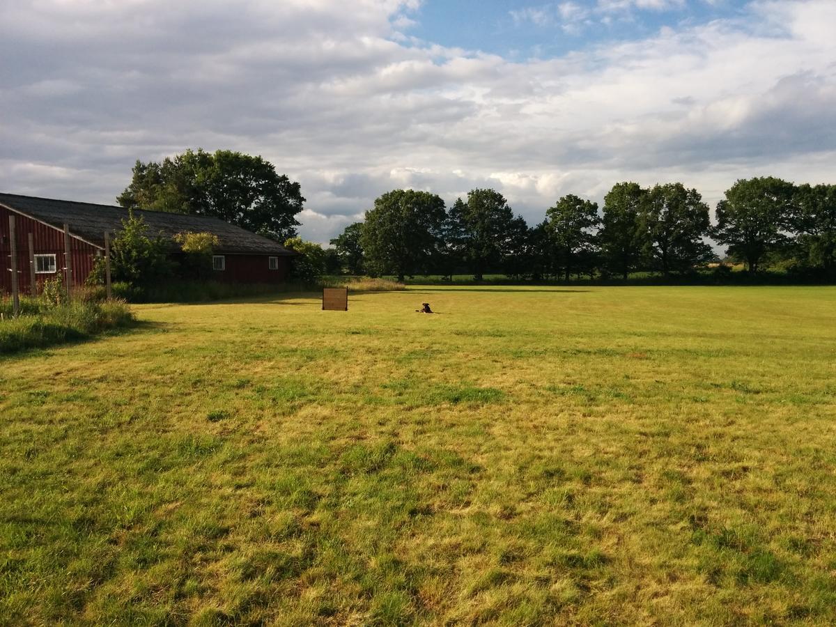 Olseröds Hundcenter&Vandrarhem Degeberga Exterior foto